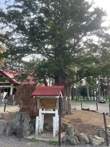 豊栄神社(北海道)