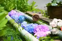 二尊院の手水舎