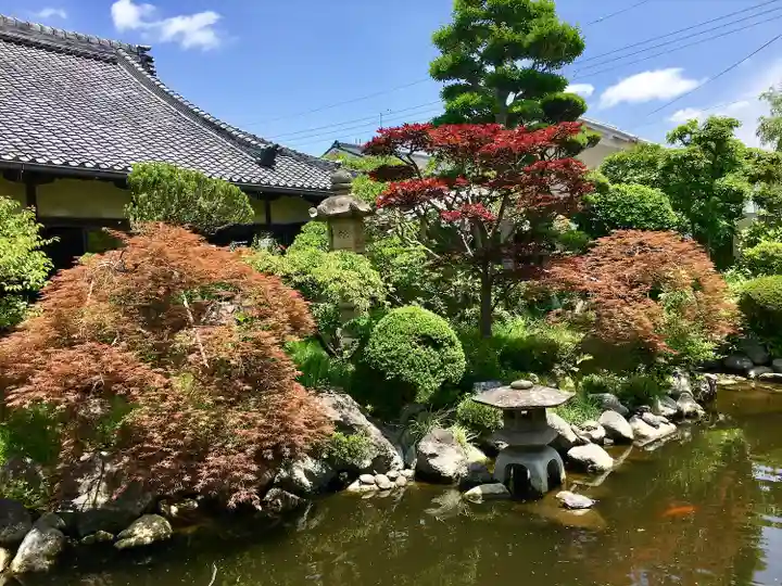 おふさ観音(観音寺)(奈良県)