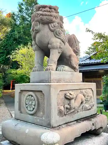 小浜神社の狛犬