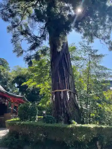 香取神宮(千葉県)
