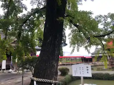 熊野神社(宮城県)