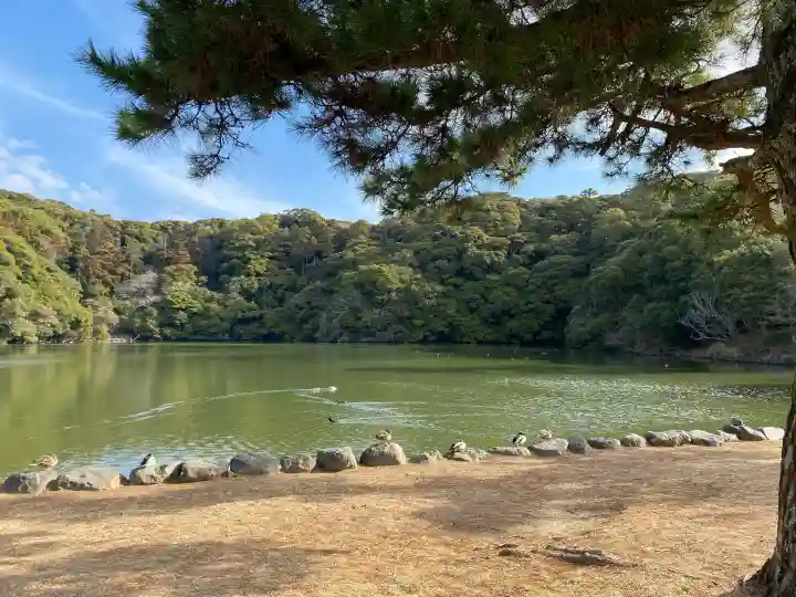 桜ヶ池池宮神社の{uncategorized: "未分類", other: "その他", undefined: "問題あり", building: "その他建物", grave: "お墓", sacred_gate: "鳥居", guardian: "狛犬", statue: "像", buddha: "仏像", history: "歴史", nature: "自然", garden: "庭園", animal: "動物", pagoda: "塔", temizu: "手水舎", mountain_gate: "山門・神門", sanctuary: "本殿・本堂", subordinate: "末社・摂社", art: "芸術", scenery: "景色", jizo: "地蔵", ema: "絵馬", goshuin: "御朱印", omikuji: "おみくじ", items: "授与品その他", amulet: "お守り", goshuincho: "御朱印帳", eats: "食事", festival: "お祭り", votive_dance: "神楽", shichigosan: "七五三参", wedding: "結婚式", experience: "体験その他", initially: "初詣", around: "周辺", anti_infection: "感染症対策"}
