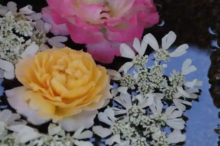 田村神社の手水舎