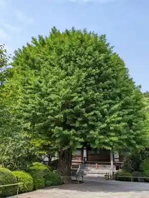 高円寺(東京都)