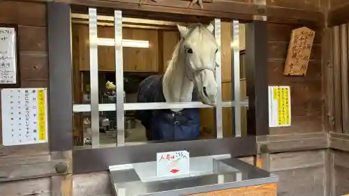 多度大社(三重県)