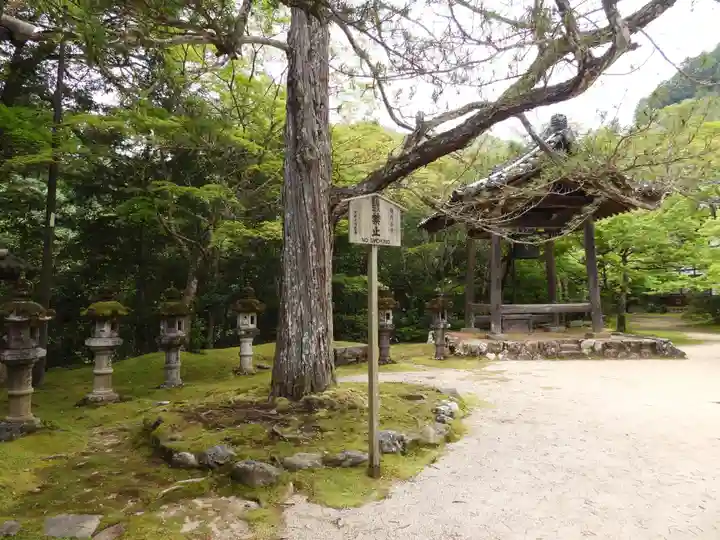 西明寺(京都府)