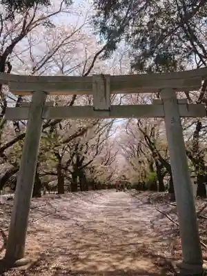 東蕗田天満社の鳥居