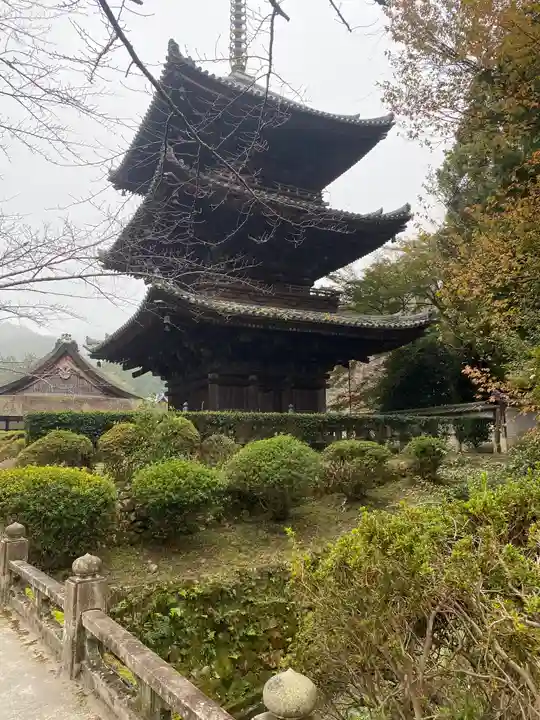 園城寺(三井寺)(滋賀県)