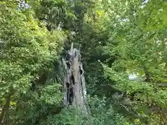 鴨高田神社(大阪府)