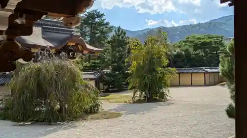 大覚寺(京都府)