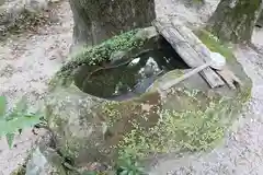 荒穂神社(福岡県)