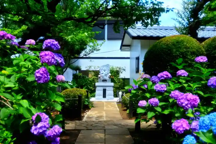 妙楽寺(神奈川県)