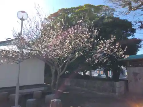 長徳寺(神奈川県)