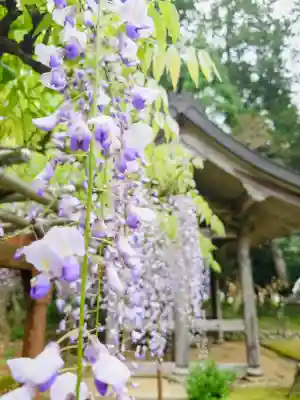 粟鹿神社の{uncategorized: "未分類", other: "その他", undefined: "問題あり", building: "その他建物", grave: "お墓", sacred_gate: "鳥居", guardian: "狛犬", statue: "像", buddha: "仏像", history: "歴史", nature: "自然", garden: "庭園", animal: "動物", pagoda: "塔", temizu: "手水舎", mountain_gate: "山門・神門", sanctuary: "本殿・本堂", subordinate: "末社・摂社", art: "芸術", scenery: "景色", jizo: "地蔵", ema: "絵馬", goshuin: "御朱印", omikuji: "おみくじ", items: "授与品その他", amulet: "お守り", goshuincho: "御朱印帳", eats: "食事", festival: "お祭り", votive_dance: "神楽", shichigosan: "七五三参", wedding: "結婚式", experience: "体験その他", initially: "初詣", around: "周辺", anti_infection: "感染症対策"}