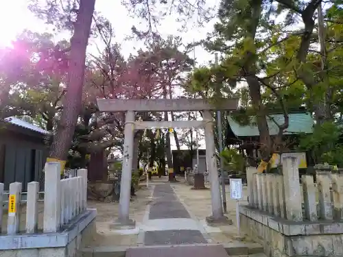 神明社（稲葉地神明社）の鳥居