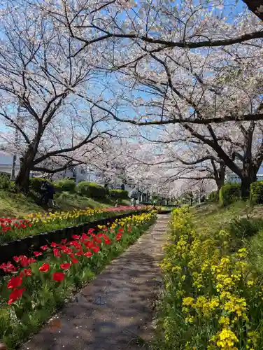 淡島社(神奈川県)
