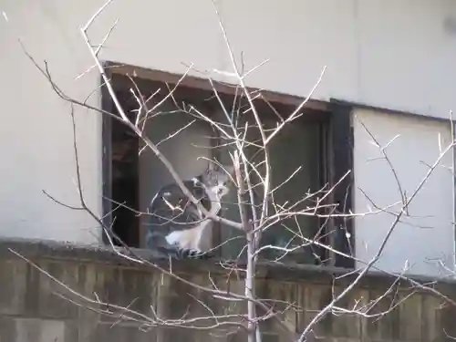 諏訪神社(東京都)