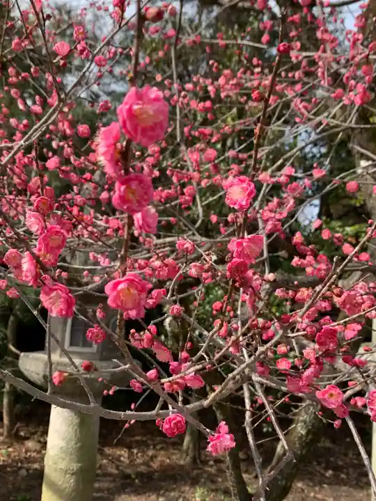 北野天満宮(京都府)