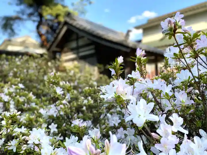 裏木神社の自然