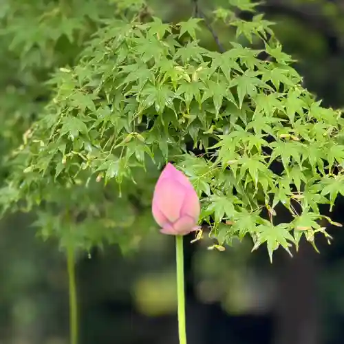 伊勢の国 四天王寺(三重県)