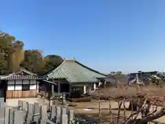 遍照寺の庭園