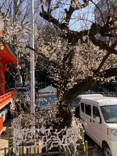 花園神社(東京都)