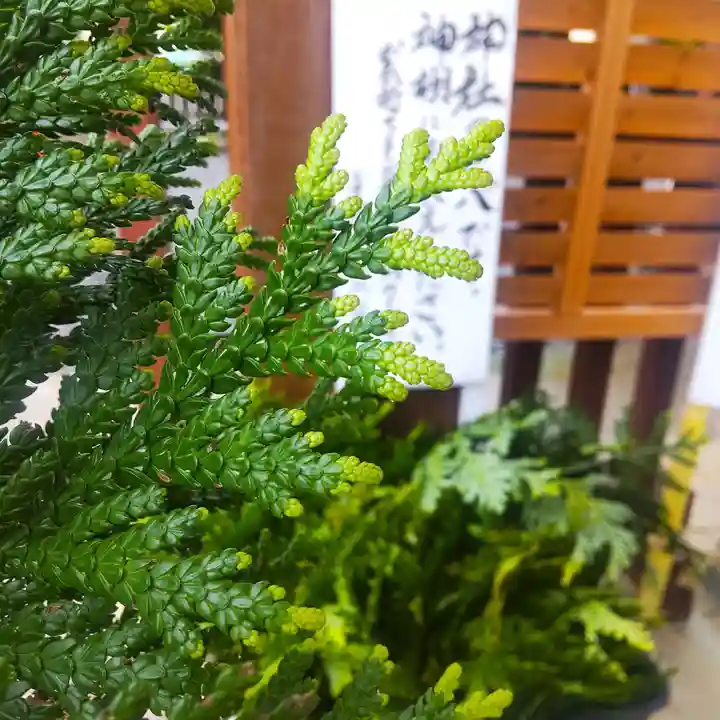 七重浜海津見神社(北海道)