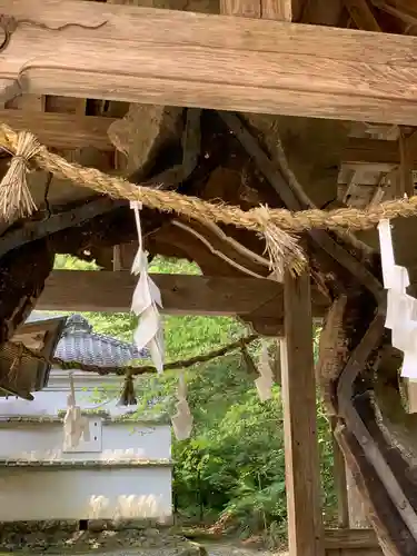 土佐神社の建物その他