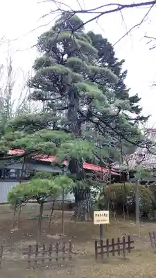 実相寺のその他建物
