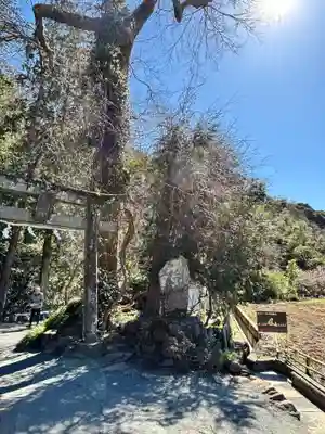 瀧川神社(静岡県)