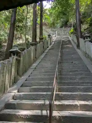 天別豊姫神社の{uncategorized: "未分類", other: "その他", undefined: "問題あり", building: "その他建物", grave: "お墓", sacred_gate: "鳥居", guardian: "狛犬", statue: "像", buddha: "仏像", history: "歴史", nature: "自然", garden: "庭園", animal: "動物", pagoda: "塔", temizu: "手水舎", mountain_gate: "山門・神門", sanctuary: "本殿・本堂", subordinate: "末社・摂社", art: "芸術", scenery: "景色", jizo: "地蔵", ema: "絵馬", goshuin: "御朱印", omikuji: "おみくじ", items: "授与品その他", amulet: "お守り", goshuincho: "御朱印帳", eats: "食事", festival: "お祭り", votive_dance: "神楽", shichigosan: "七五三参", wedding: "結婚式", experience: "体験その他", initially: "初詣", around: "周辺", anti_infection: "感染症対策"}