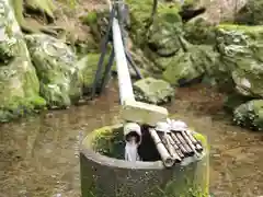 若狭彦姫神社の手水