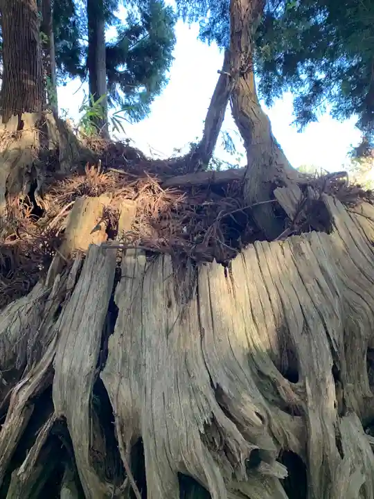 社八幡神社(福島県)