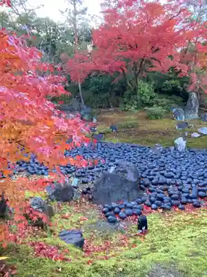 宝厳院(京都府)