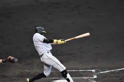 素盞嗚神社(兵庫県)