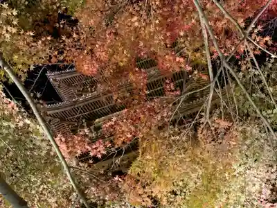 東寺(教王護国寺)の塔