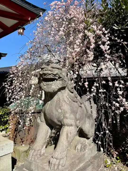 筑土八幡神社(東京都)
