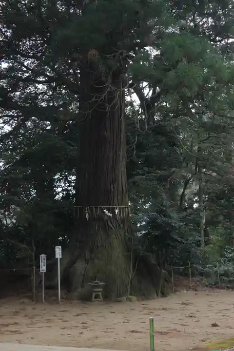 側高神社(千葉県)