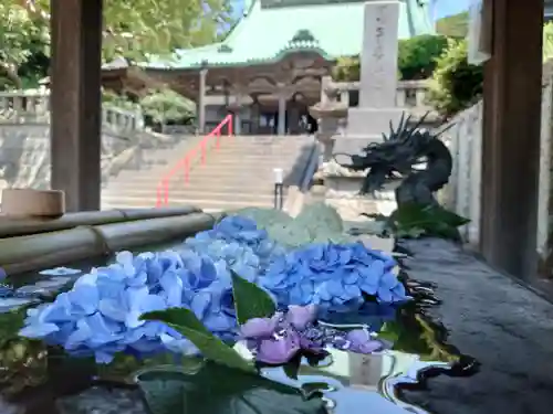 龍口寺(神奈川県)