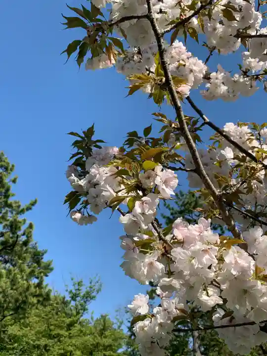 白雲神社(京都府)