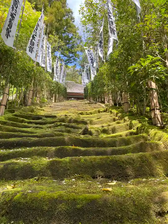 杉本寺(神奈川県)
