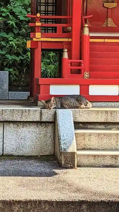 白金氷川神社の動物