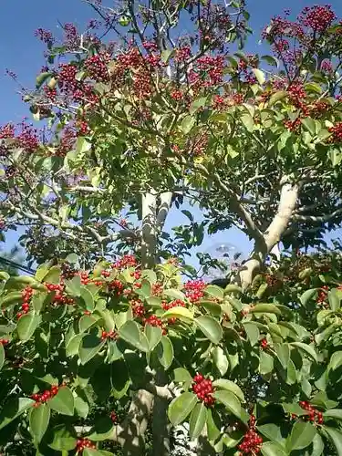 補陀落寺の自然