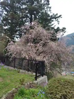 常鑑寺(群馬県)