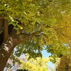 熊野福藏神社の自然