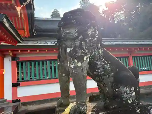 高良大社(福岡県)