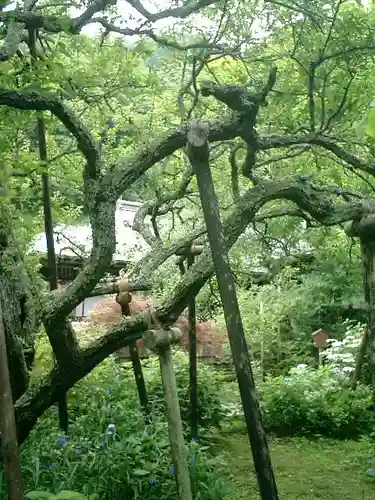 瑞泉寺の庭園