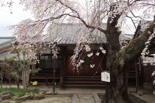 心念寺(三重県)