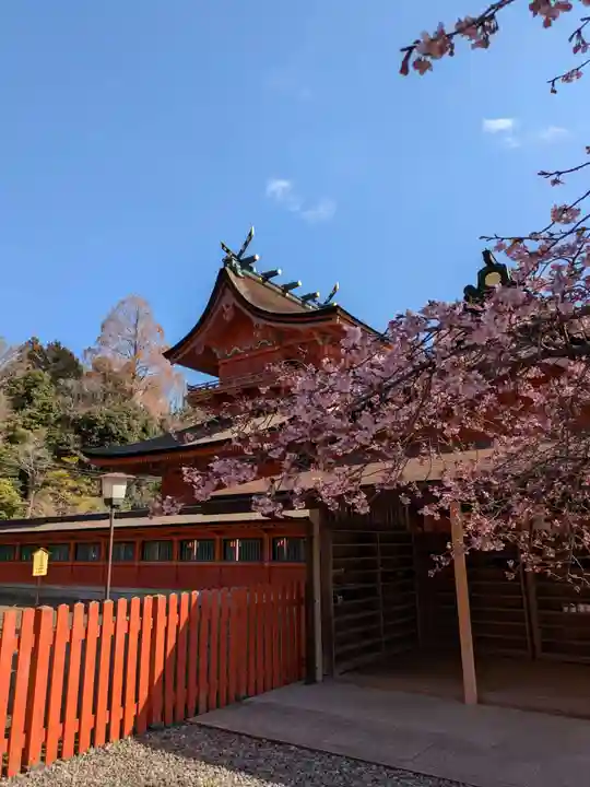 富士山本宮浅間大社(静岡県)